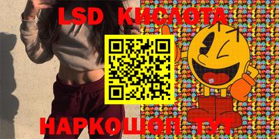 крисы Бийск