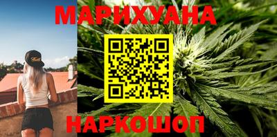 крисы Бийск