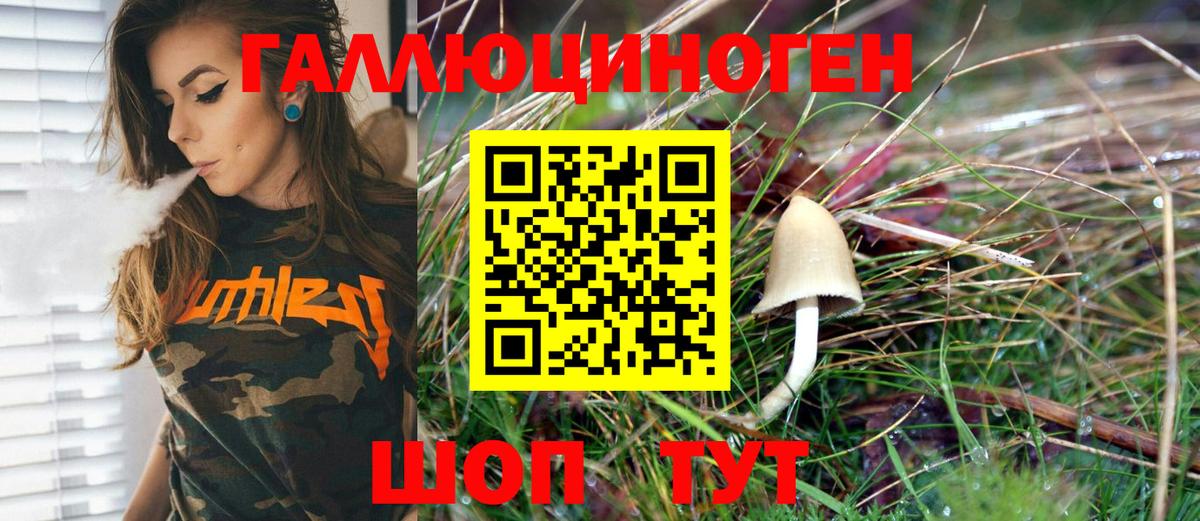 Галлюциногенные грибы Psilocybe Белорецк